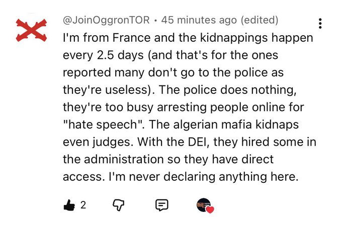 A YouTube comment from user @JoinOggronTOR posted 45 minutes ago, stating they're from France discussing kidnappings, with 2 likes and sarcastic/political commentary.