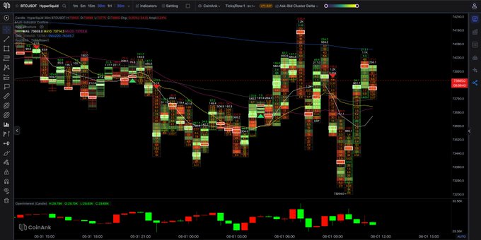 The image displays a screenshot of an Expedia page, which includes information about GM CoinAnker's $BTC Footprint Chart MAs. The chart shows that the price has not moved from the bottom edge since mid-morning around midday, indicating no significant buying or selling activity. It appears that there is a lack of conviction in the market, as evidenced by the flat chart and the absence of a strong breakout event.