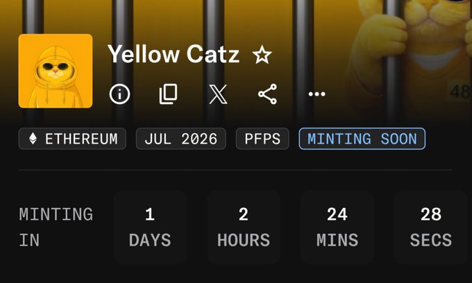 Screenshot of a NFT minting page for 'Yellow Catz' on Ethereum, labeled 'PFPS' and 'MINTING SOON', with a countdown timer showing 1 day, 2 hours, 24 minutes, 28 seconds remaining.