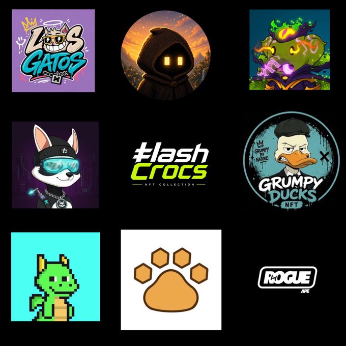 A collection of NFT logos displayed on a black background, including 'Los Gatos,' 'flash Crocs NFT Collection,' 'Grumpy Ducks NFT,' a pixel art dragon, a paw print, and 'R-ROGUE APE.'