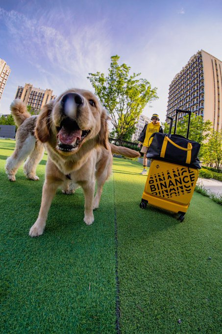 A happy golden-furred dog stands on artificial green turf beside a yellow Binance-branded rolling bag, with the word "BINANCE" prominently displayed on its side. The scene captures a cheerful "GM" moment of new weekly exploration, with the dog's excited expression and the Binance luggage hinting at travel and crypto adventures ahead.