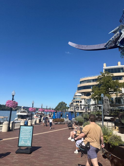A sunny waterfront promenade bustles with pedestrians strolling past a marina, with a "Ride Safely" sign visible and large windows reflecting the clear blue sky overhead.

The post's cheerful "gm" greeting paired with the bright, leisurely waterfront scene captures the relaxed weekend vibe of crypto traders enjoying the sunshine.