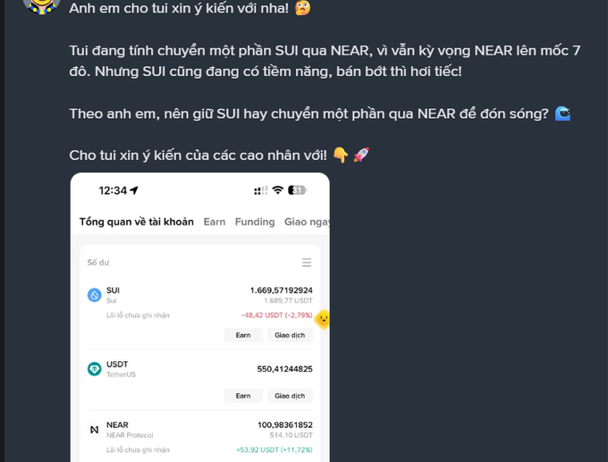 A dark-themed chat message in Vietnamese discussing cryptocurrency SUI and NEAR, asking for advice on whether to hold SUI or transfer some to NEAR, accompanied by a screenshot of a crypto wallet showing balances for SUI (1,669.57), USDT (550.41), and NEAR (100.98).