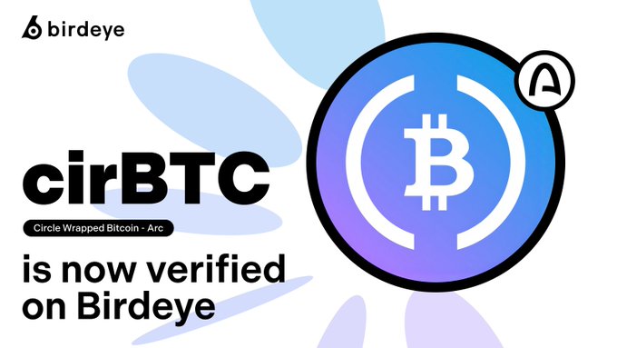 Birdeye announces that cirBTC (Circle Wrapped Bitcoin on Arc) is now verified on their platform, visually featuring the Bitcoin symbol inside a purple gradient circle to represent the 1:1 BTC-backed token entering the Arc ecosystem.