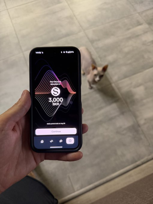 A hand holding a smartphone displaying the Skrill app with a balance of "3,000 SKR", while a small dog looks up at the camera in the background over a tiled floor.