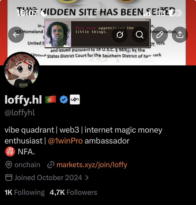A Twitter profile for @loffyhl with 4,707 followers displays the bio "vibe quadrant | web3 | internet magic money enthusiast | @1winPro ambassador," with a banner referencing a seized hidden site.
