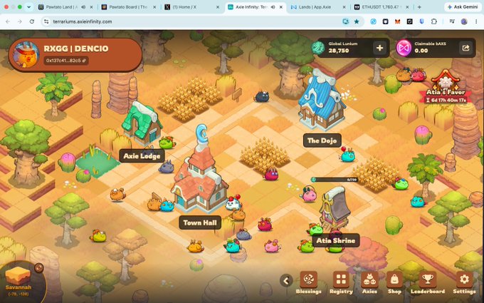 The image shows an online game called "Terrarium Land", which appears to be a virtual world where players can create their own terrariums, complete with various elements such as trees, rocks, and other decorations. The game has been purchased by multiple players who have completed it successfully. One player is named "@Jihoz_Axie" and they are the main focus of the image.