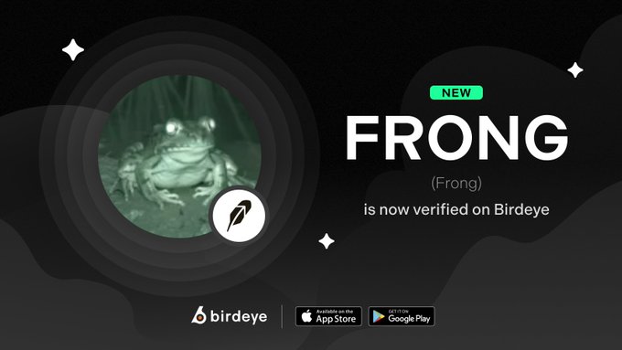 The image features a circular night-vision style photo of a frog on a dark background with the text "FRONG (Frong) is now verified on Birdeye," alongside the Birdeye logo and App Store/Google Play download badges, visually reinforcing the announcement of $FRONG's official verification on the Birdeye platform.