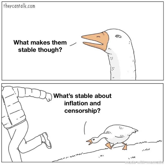A two-panel cartoon from theycantalk.com features a goose asking "What makes them stable though?" before a person chases it while asking "What's stable about inflation and censorship?"