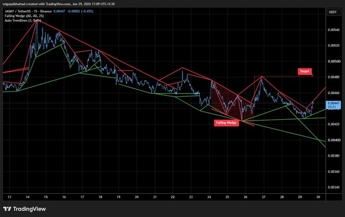 TradingView candlestick chart of JASMY/TetherUS showing price action from Jan 13-30, 2025, with 'Falling Wedge' pattern labeled and a 'Target' marker near $0.00480.