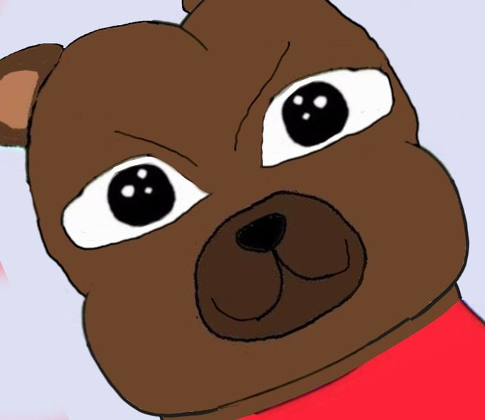 A close-up illustration of a brown cartoon bear-like character with large, glistening black eyes and a red shirt.