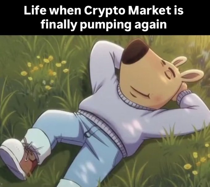 A cartoon character relaxes in a field of grass and yellow flowers, with the caption 'Life when Crypto Market is finally pumping again'.