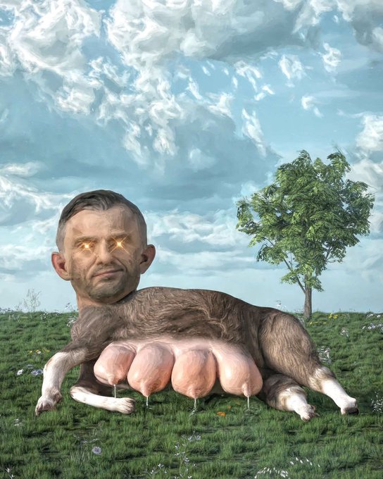 A surreal digital artwork depicting a strange creature with a realistic human male head featuring glowing eyes, lying in a grassy field beneath a cloudy sky.