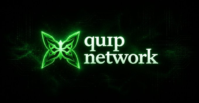 A glowing green logo on a dark background featuring a geometric butterfly-like emblem next to the text 'qurp network'.