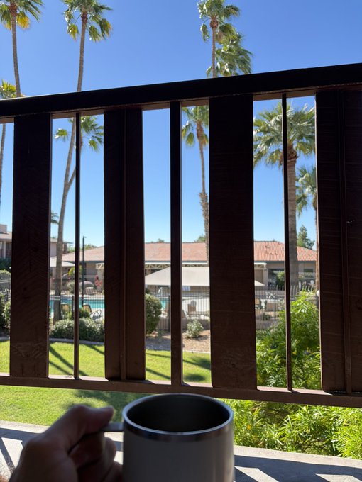 A person's hand holds a green mug on a balcony, overlooking a courtyard with palm trees and apartment buildings on a sunny day.