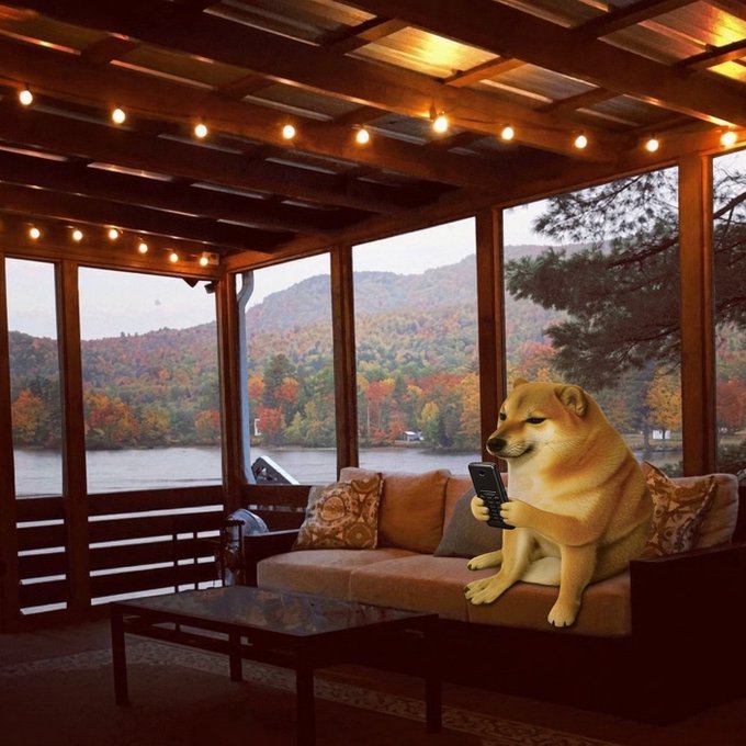 A digitally altered image showing a Shiba Inu dog holding a smartphone while sitting on a couch inside a cozy wooden cabin, with a scenic lake and autumn foliage visible through large windows.