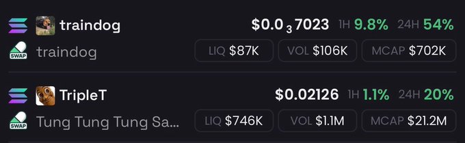 A dark-themed cryptocurrency tracker displays two Solana meme coins: **traindog** at $0.037023 with a 9.8% 1-hour and 54% 24-hour gain (MCAP $702K), and **Tung Tung Tung Sahur (TripleT)** at $0.02126 with a 1.1% 1-hour and 20% 24-hour rise (MCAP $21.2M). The screenshot's strong recent gains support the bold claim that both coins are positioned to hit new all-time highs.