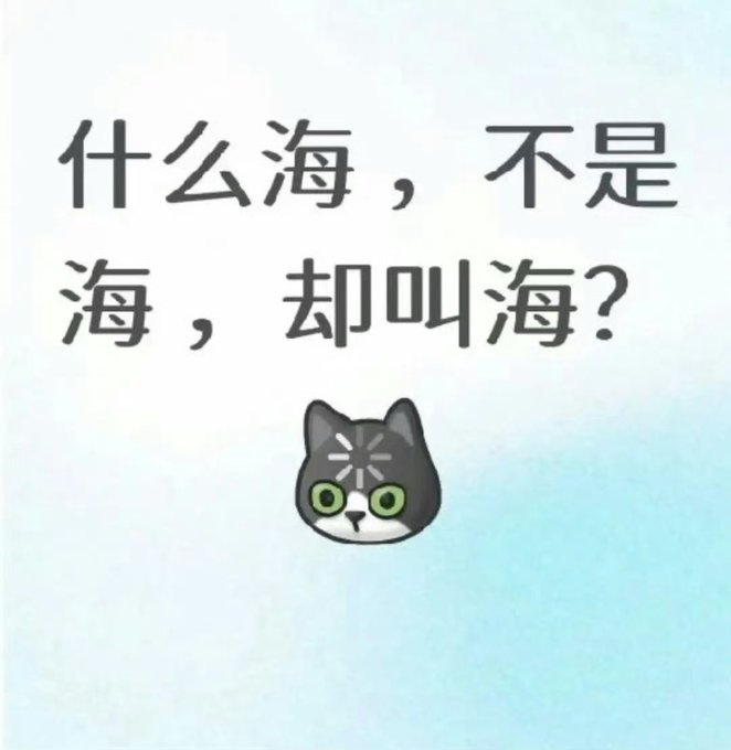 A minimalist light blue image with Chinese text '什么海，不是海，却叫海？' (translation: 'What sea is not a sea, but is called a sea?') above a cartoon cat character with a confused expression.
