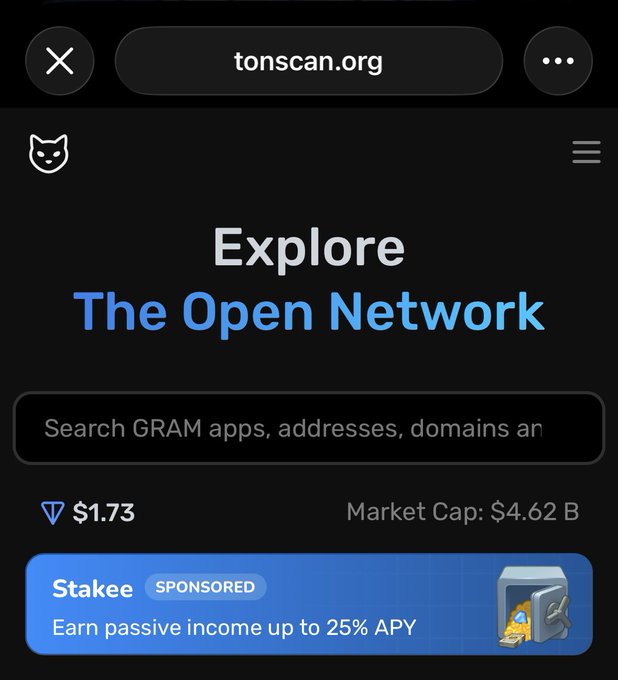 The image features a computer screen displaying an advertisement for a new app, specifically for the website TONSCAN.org. The post includes text that suggests the application provides "explore the open network" as its main feature. It appears that there is a problem with the name of the ad and possibly some confusion in terms of the app's function or purpose to be advertised.