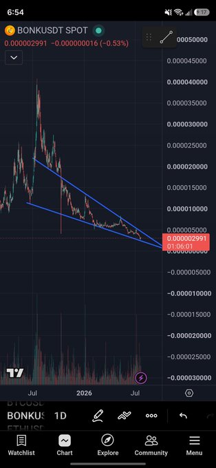 A TradingView candlestick chart for BONKUSDT showing a descending wedge pattern with a current price of 0.000002991 and a -0.53% change.