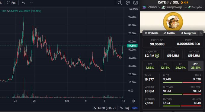 A cryptocurrency trading chart displays the price action of $CATE/SOL on CATE/SOL pair, showing a current price of $0.05693 (54.59M) with $2.4M liquidity and $3.8M 24H volume, complementing the post's excitement about the token's chart performance.