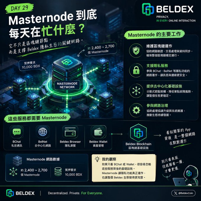 A Chinese-language infographic for BELDEX cryptocurrency explaining 'Masternode' network functions, marked 'DAY 29', detailing its role in supporting BChat, BelNet, Beldex Browser, and Beldex Wallet services.