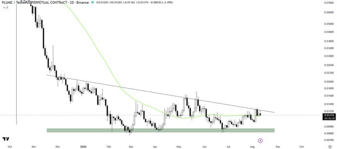 A TradingView candlestick chart of 'PLUME / TetherUS PERPETUAL CONTRACT' on Binance, showing a downtrend from late October through August with a moving average and a descending resistance line.