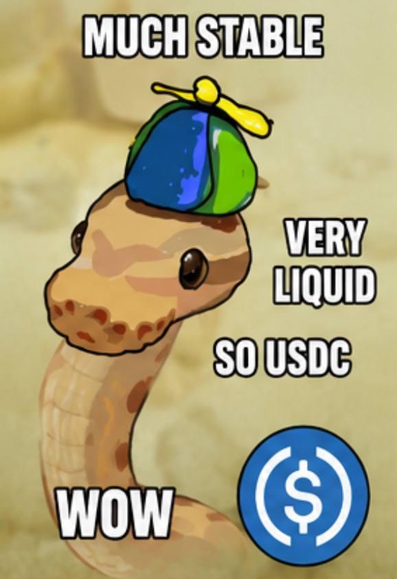 A 'Much Wow' doge-style snake meme wearing a propeller hat reads 'MUCH STABLE VERY LIQUID SO USDC' alongside the USDC stablecoin logo.