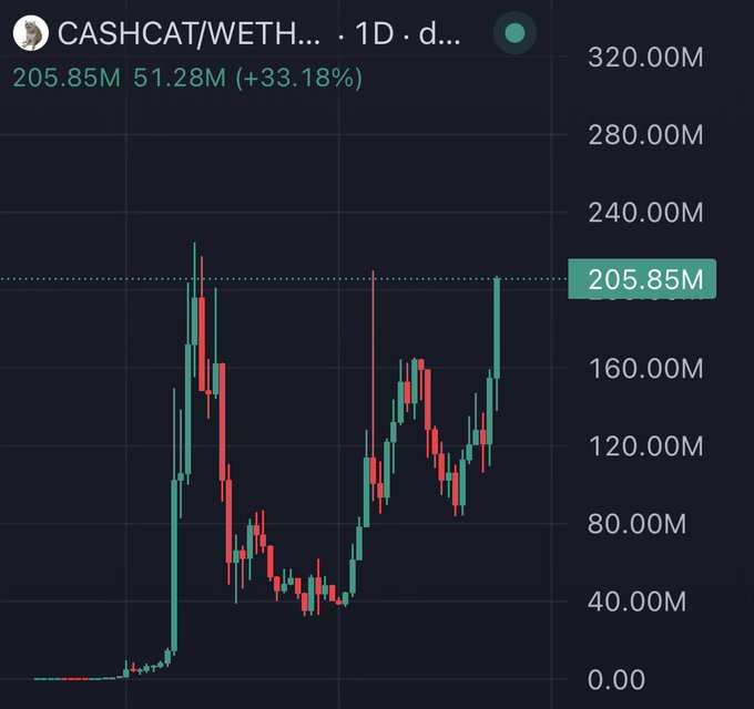 A candlestick chart for CASHCAT/WETH shows a daily timeframe with the price surging to 205.85M, marking a +33.18% gain of 51.28M. The chart displays an explosive upward move after an extended consolidation, supporting the post's bullish sentiment about Cash Cat "blowing the roof off."