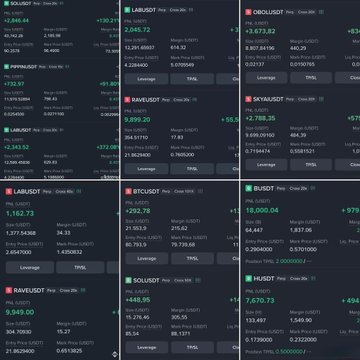 The image displays a trading platform dashboard showing multiple cryptocurrency and commodity positions, including tickers like SOLUSDT, LABOR-USDT, OBOLUDST, PIPPIAUSDT, SAVELUDT, SKYAUDSDT, UABUDT, LFUCUDT, BUSDT, RAVUDST, SOLUSDT, and HUSDT, with values and leverage details visible.

The accompanying post claims a high success rate on short trades and asks if the user wants tips for shorting coins, while the image illustrates a diversified portfolio of active short positions across crypto pairs and commodities that the trader is currently holding.