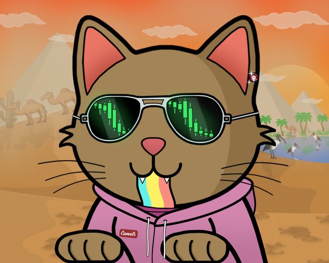 A cartoon cat wearing sunglasses that reflect green trading charts, with a rainbow tongue sticking out, set against a desert background with camels and pyramids.