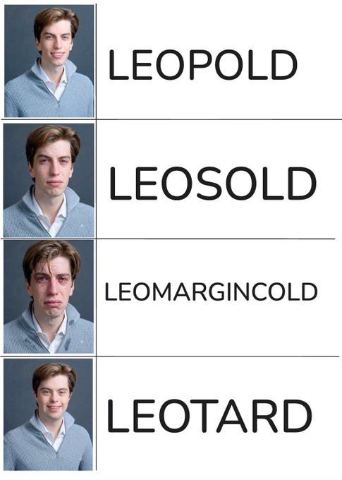 A meme using panels of a crying man paired with the text 'LEOPOLD', 'LEOSOLD', 'LEOMARGINCOLD', and 'LEOTARD'.