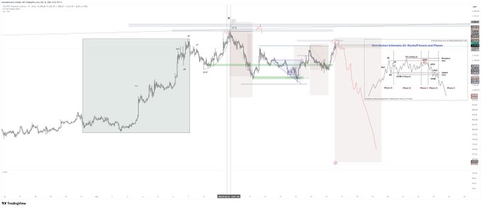 A TradingView chart displays market analysis with price action showing various technical analysis zones, patterns, and a Distribution Schematic indicating Phases A through F.
