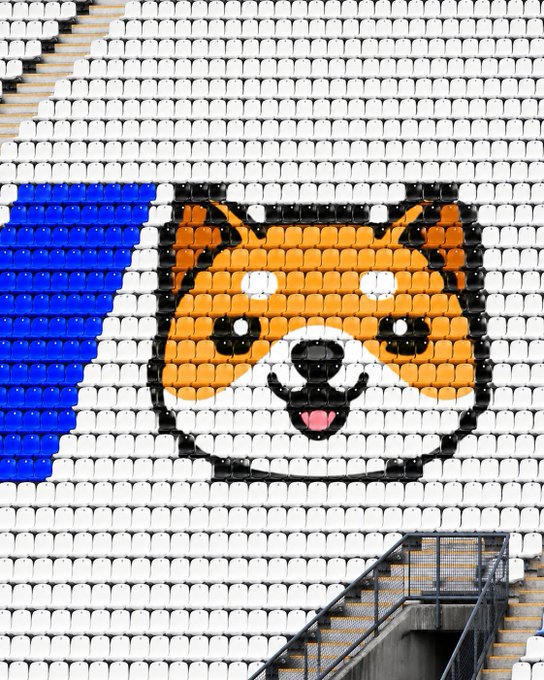 A stadium's seating area features an image of a Shiba Inu dog (the $BABYDOGE mascot) formed by colored seats in orange, black, white, and blue, matching the post's reference to "Best seats $BABYDOGE."
