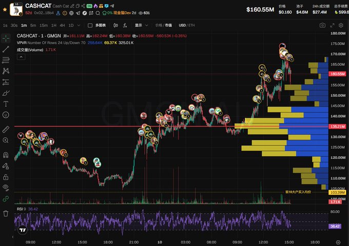 A TradingView cryptocurrency chart displaying the CASHCAT token (Cash Cat) priced at $160.55M, showing an upward price trend alongside a volume profile and RSI indicator.