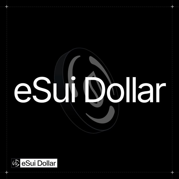 The image features a black background with white text that reads "eSui Dollar" at the top, followed by an explanation of what eSui Dollar is. The text is centered within the frame, making it easy for viewers to read and understand the content.