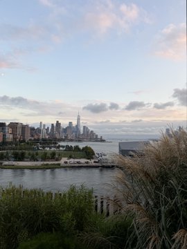 A scenic view of a city skyline (appearing to be Manhattan) across a river, taken from a grassy area with tall reeds in the foreground during twilight.