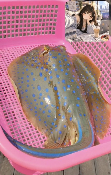 A blue-spotted stingray lies in a bright pink plastic shopping basket, with a small inset photo in the upper right corner showing a person at a café.