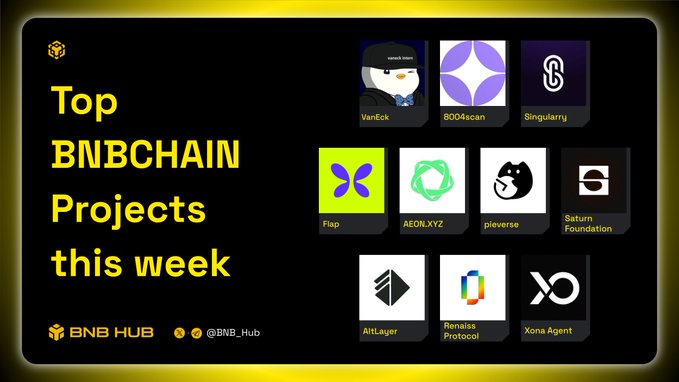 The image features a poster for Top Projects this week, which is posted on @BNBCHAIN's social media account. The poster displays various logos and icons related to different projects within the Binance network. One of the projects listed is "vaneck_us", indicating that it is a project from the United States. Another project featured in the poster is "8004_scan", which could be an Ethereum-based project or a similar type of cryptocurrency exchange. The image also includes text that reads "@BNBCHAIN @vaneck_us @singularryai".