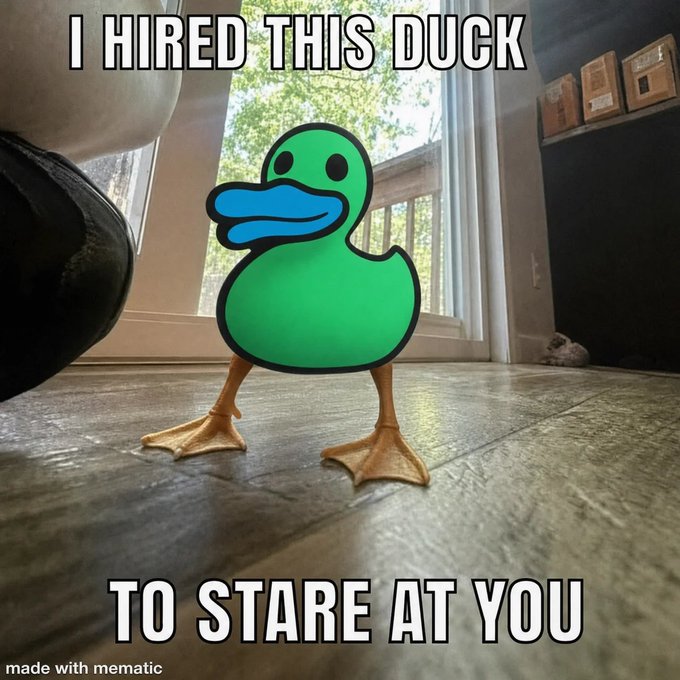 A photo of a real duck standing on a tiled floor has a green cartoon duck face digitally overlaid, with meme text reading "I HIRED THIS DUCK TO STARE AT YOU."