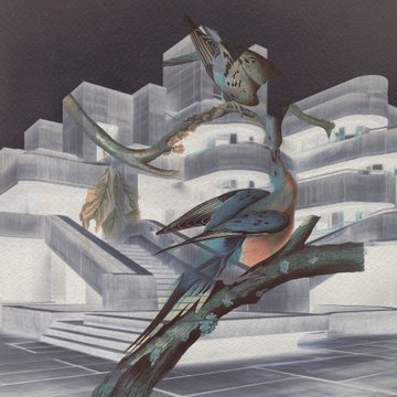 A stylized illustration shows a colorful bird perched on a branch in the foreground, with another bird and a small figure in the background, set against a futuristic white architectural structure.