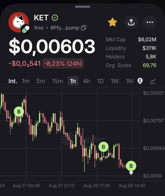 A cryptocurrency price chart for the token 'KET' (1mo) on a pump.fun platform, showing a current price of $0.00603, down -8.23% in 24 hours, with a market cap of $6.02M and 5.8K holders, featuring green 'B' markers indicating buy signals.