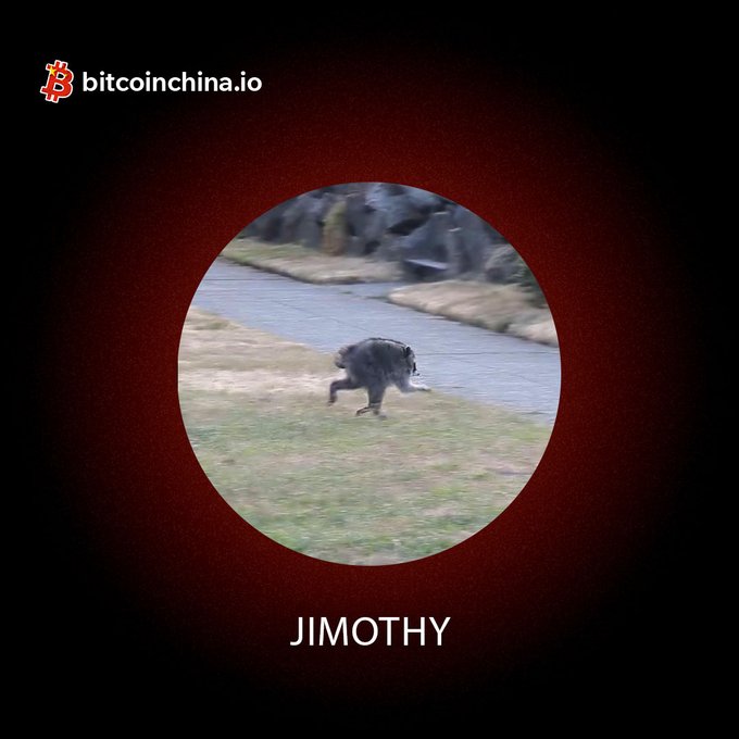 A bitcoinchina.io branded image featuring a circular spotlight on a baboon running across a grassy field near water, with the name 'JIMOTHY' displayed below.