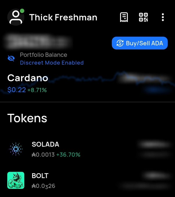 The image shows a cryptocurrency portfolio named "Thick Freshman" with a Cardano (ADA) holding valued at $0.22 (+8.71%), along with tokens SOLADA at A0.0013 (+36.70%) and BOLT at A0.0326, reflecting the user's playful contribution to the Cardano ecosystem. The "Discreet Mode" privacy feature is enabled, with personal details blurred, emphasizing the fun and community-driven spirit of their holdings.