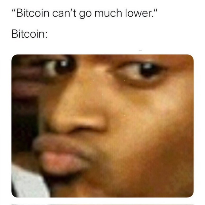 A humorous meme featuring the text '"Bitcoin can't go much lower." Bitcoin:' above a close-up photo of a person's skeptical side-eye expression.