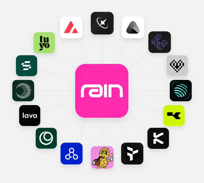 A central pink "rain" logo is surrounded by 14 crypto card issuer icons arranged in a circular wheel, including KAST, Etherfi, Plasma One, Tria, Avici, XPlace, and Oobit, illustrating the network of competing crypto card programs that operate alongside Rain in the market.
