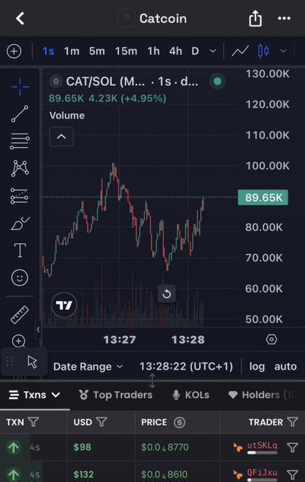 A TradingView-style chart for Catcoin (CAT/SOL) showing a 4.95% gain with current price at 89.65K, displaying volume and recent transactions including trades from 'uTSKLq' and 'OFiJxu'.
