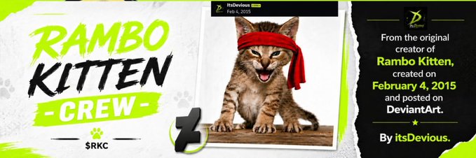 The image is a promotional banner for the "$RKC" (Rambo Kitten Crew) meme token, featuring its iconic logo of a fierce tabby kitten wearing a red headband, with text noting it was created on "Feb 3, 2015" by "itsDevious" and originally posted on "DeviantArt." It ties directly to the post by highlighting the meme's creator and its historical connection to Roaring Kitty and the GME/Memestonk lore.
