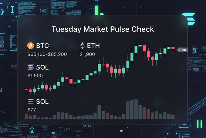 A digital market pulse dashboard titled 'Tuesday Market Pulse Check' showing candlestick charts and prices for BTC ($65,100-$65,200), ETH ($1,900), and SOL ($1,900 and $77).