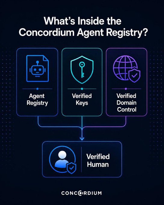 The image displays the components of the "Concordium Agent Registry," featuring three pillars—Agent Registry, Verified Keys, and Verified Domain Control—that converge into a "Verified Human" element, visually reinforcing the post's argument about the need for real human accountability and identity verification behind AI agent activity.